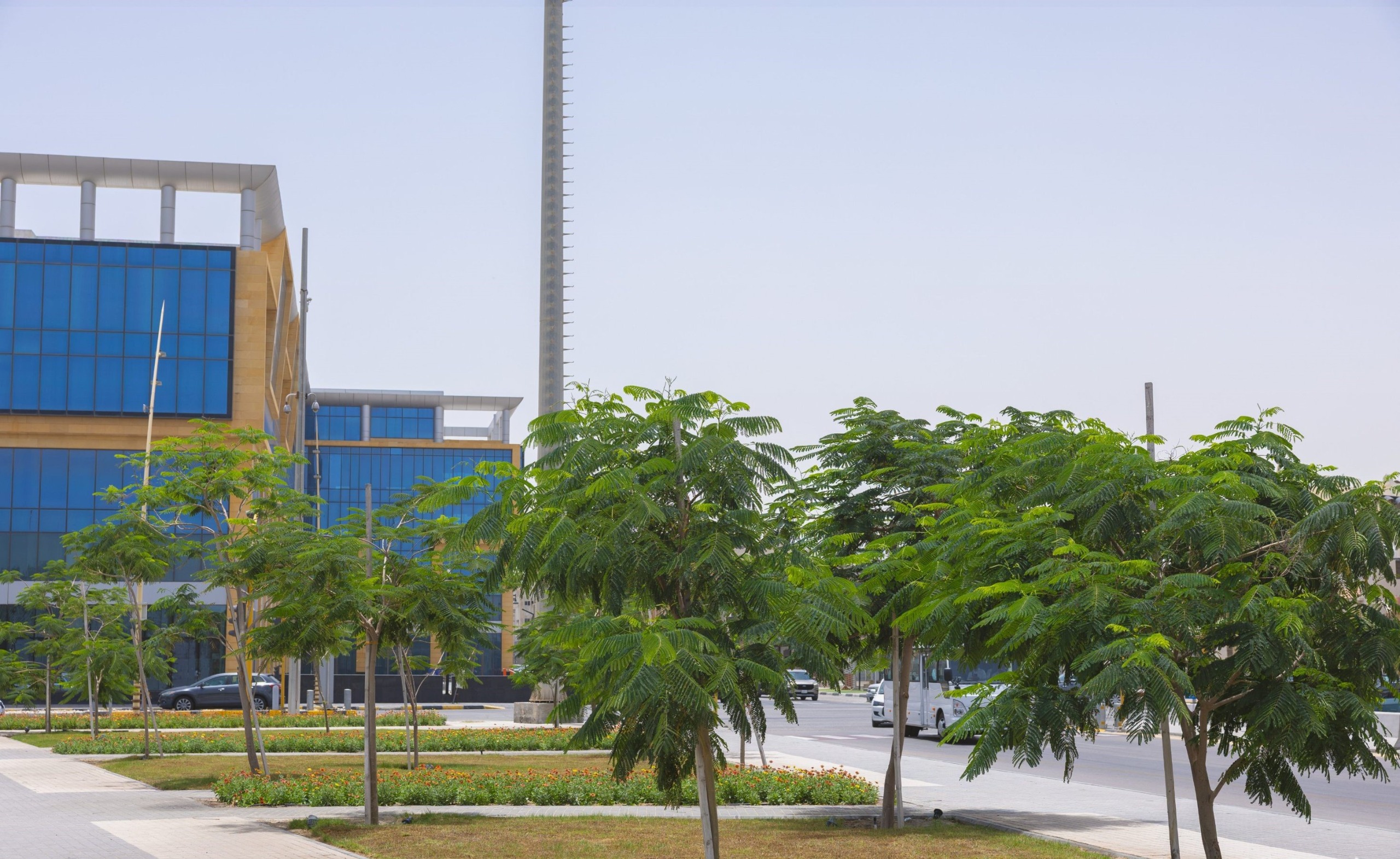 أمانة الشرقية: قفزة خضراء في الخبر ترفع نصيب الفرد من المساحات الخضراء وتعزز أنسنة المدينة
