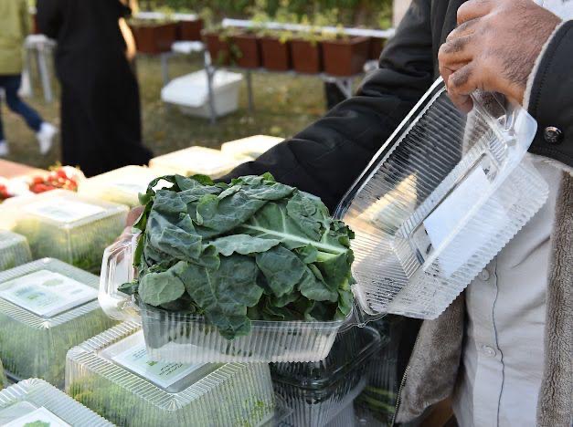 في مهرجان الزهور الثالث.. زهور ومشاتل تجذب محبي الزراعة