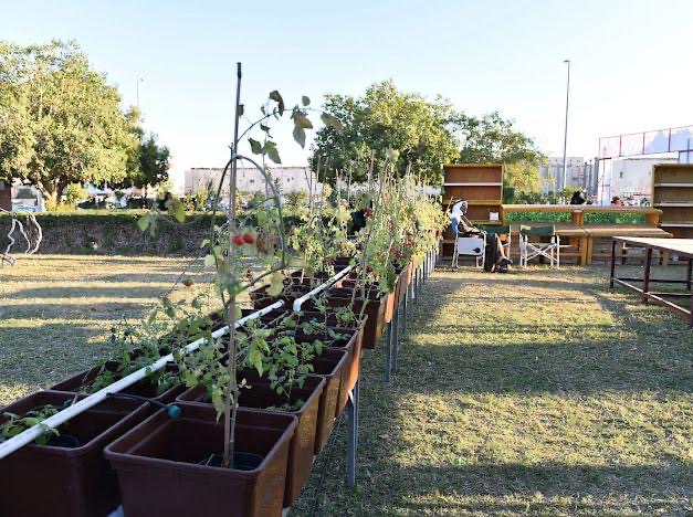 في مهرجان الزهور الثالث.. زهور ومشاتل تجذب محبي الزراعة
