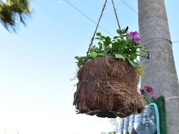 في مهرجان الزهور الثالث.. زهور ومشاتل تجذب محبي الزراعة