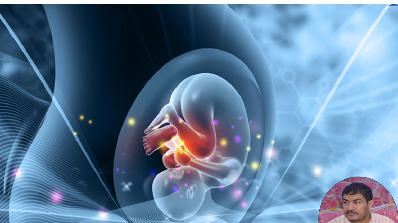 أول روبوت حامل في العالم ابتكار صيني يثير جدلا أخلاقيا