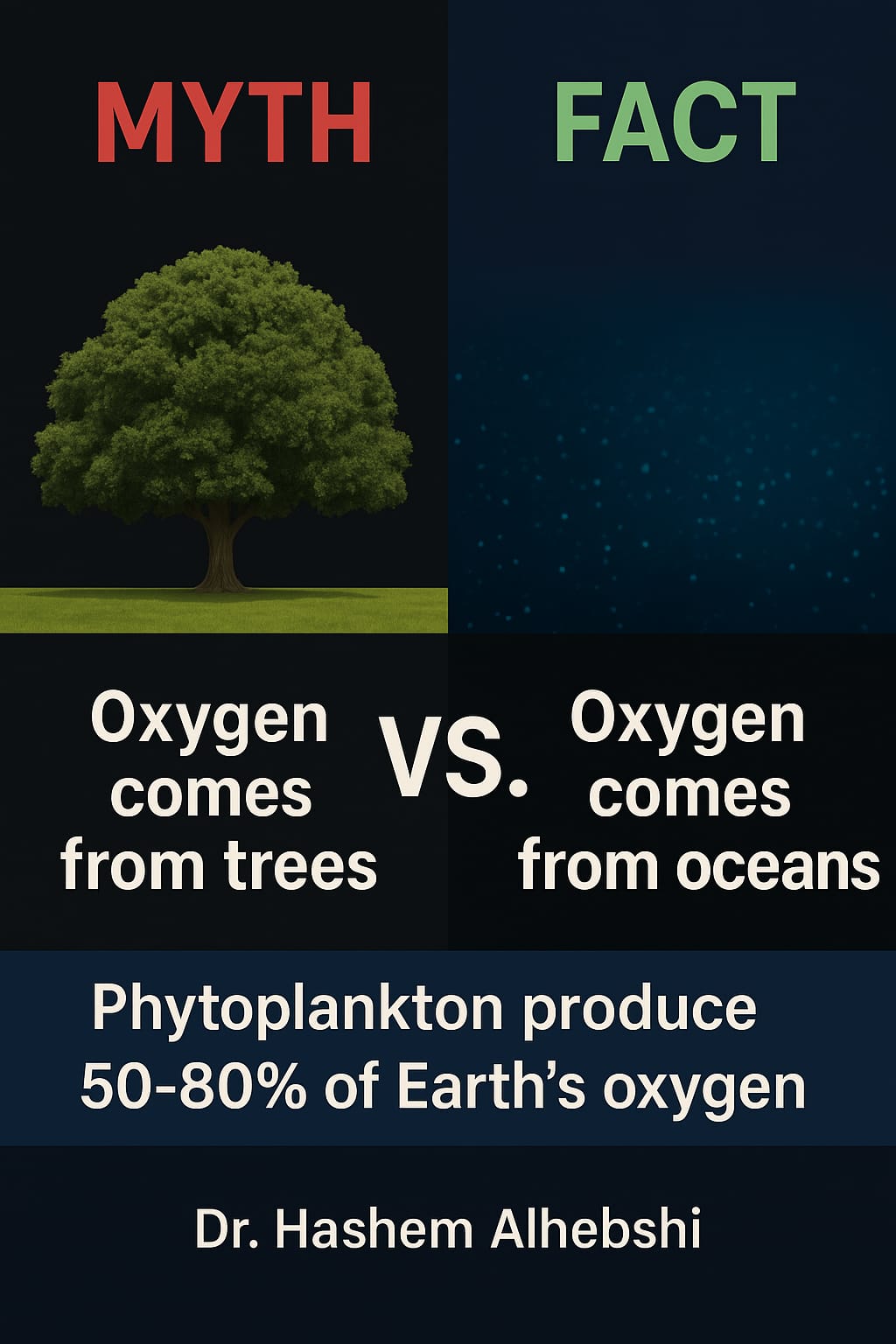 البحار… الرئتان الحقيقيتان للأرض 