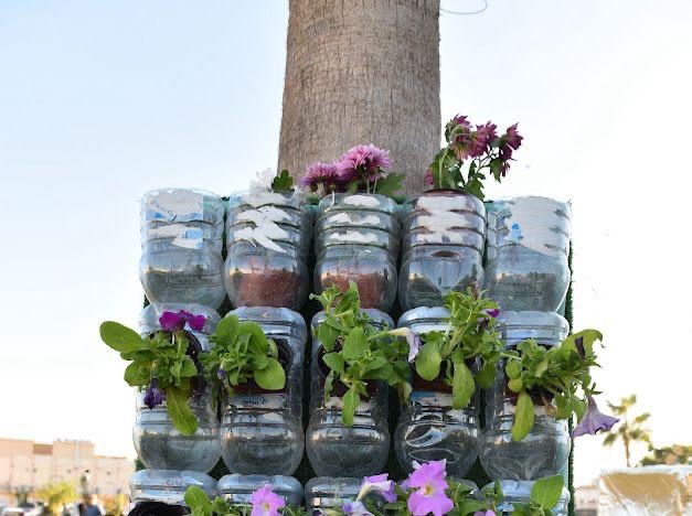 في مهرجان الزهور الثالث.. زهور ومشاتل تجذب محبي الزراعة