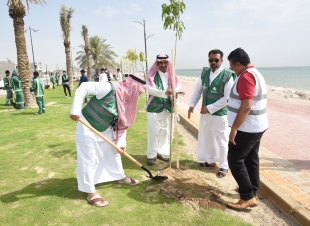 *مبادرة 