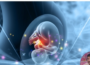 أول روبوت حامل في العالم ابتكار صيني يثير جدلا أخلاقيا